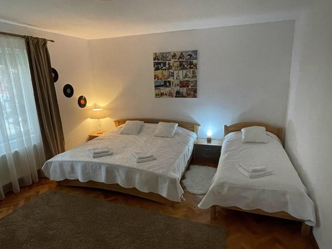 Crisan 40 Casa Muntean 100Mp 3Camere 3Paturi 1 Canapea 2 Dormitoare Parcare 蒂米什瓦拉 外观 照片