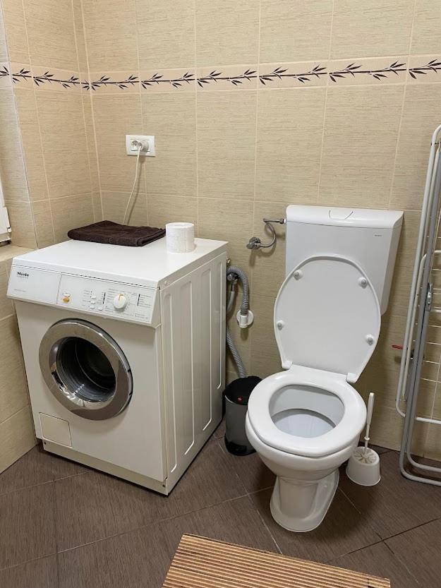 Crisan 40 Casa Muntean 100Mp 3Camere 3Paturi 1 Canapea 2 Dormitoare Parcare 蒂米什瓦拉 外观 照片